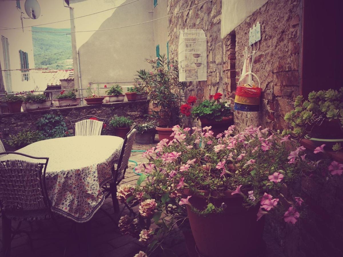 Dimora Toscana Daire Seggiano Dış mekan fotoğraf