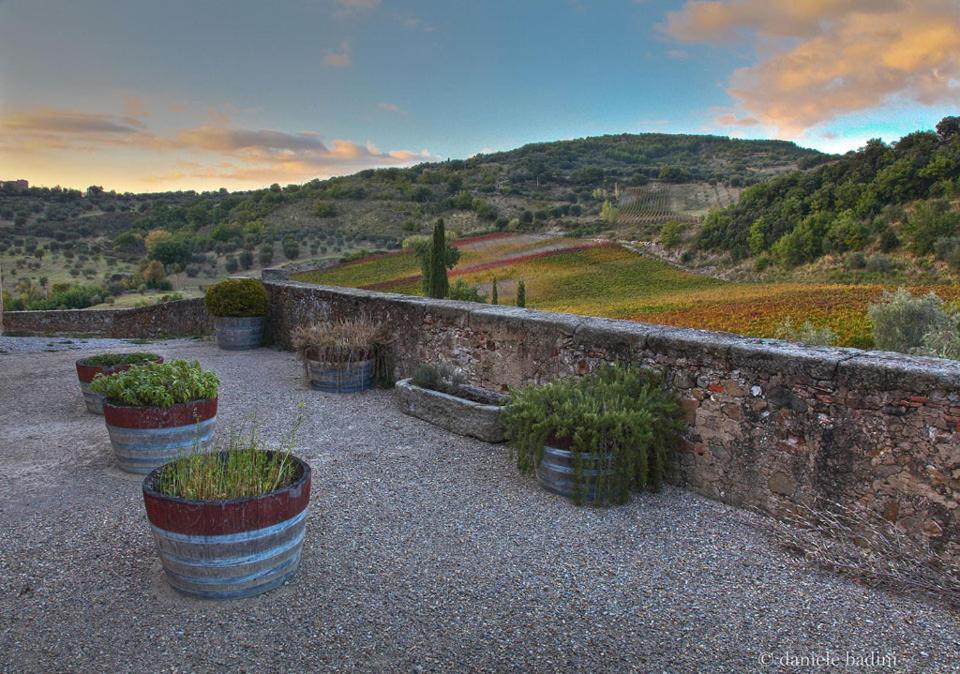 Dimora Toscana Daire Seggiano Dış mekan fotoğraf